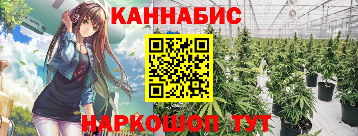 Бошки марихуана конопля Лысьва